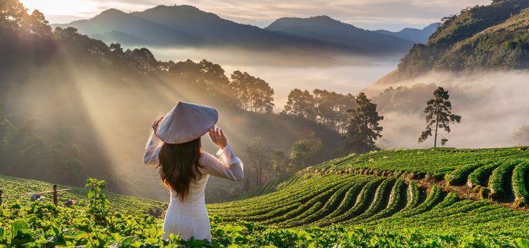 vietnam travel