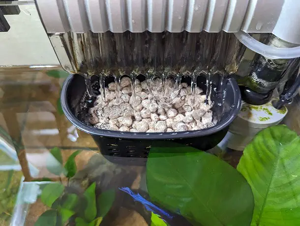 filters for betta fish